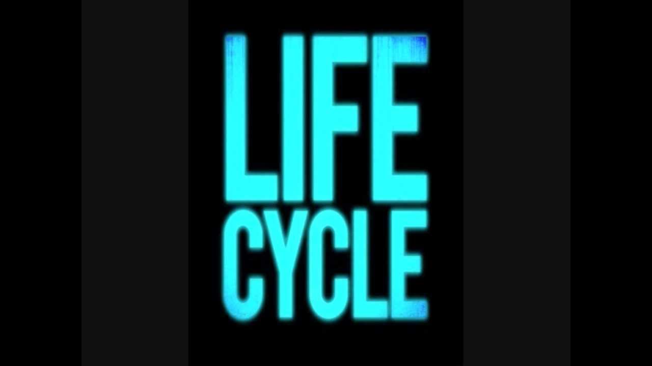Lifecycle - Zero X VIP