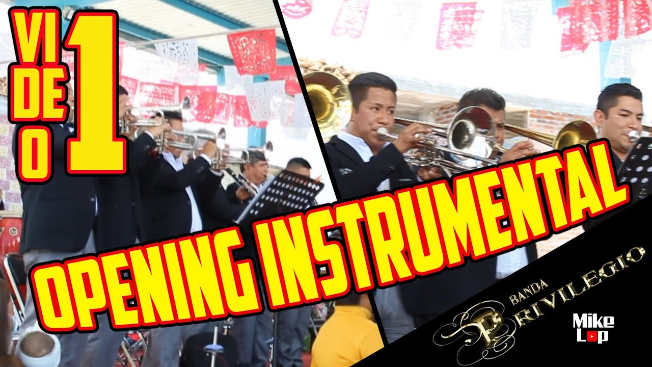 🚩OPENING BANDA PRIVILEGIO 2021