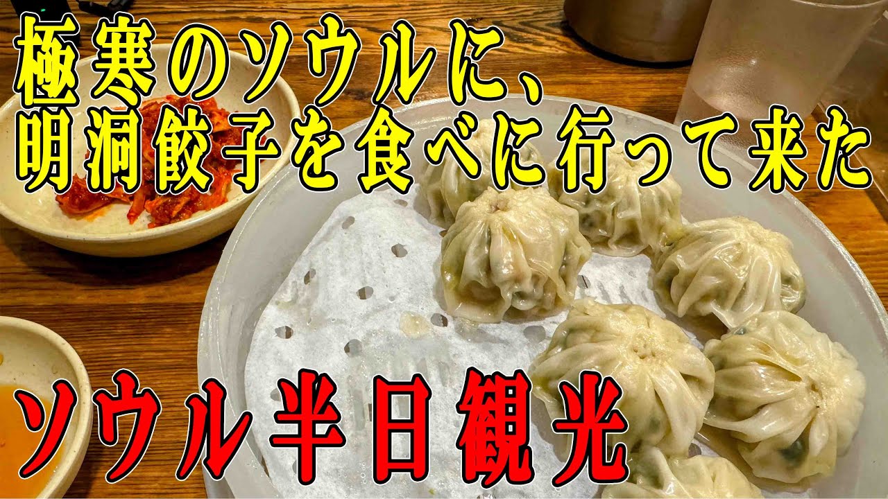 真冬のソウル 半日観光　極寒のソウルに餃子を食べに行ってみた