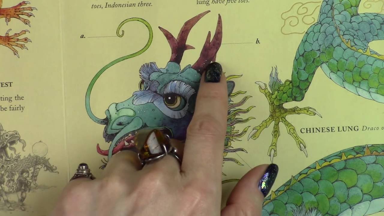 (ASMR) Dragonology