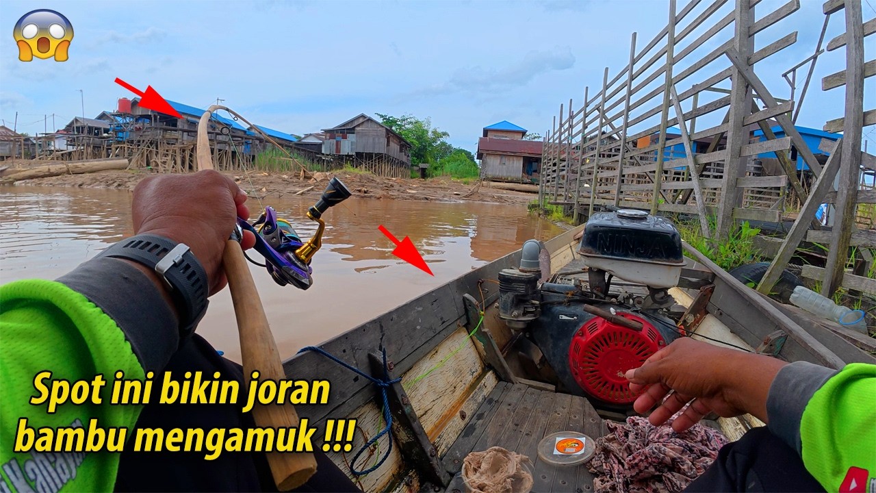 Aksi joran bambu ‼️ mancing ikan Baung di sungai besar Kalimantan
