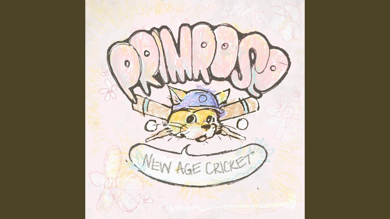 New Age Cricket