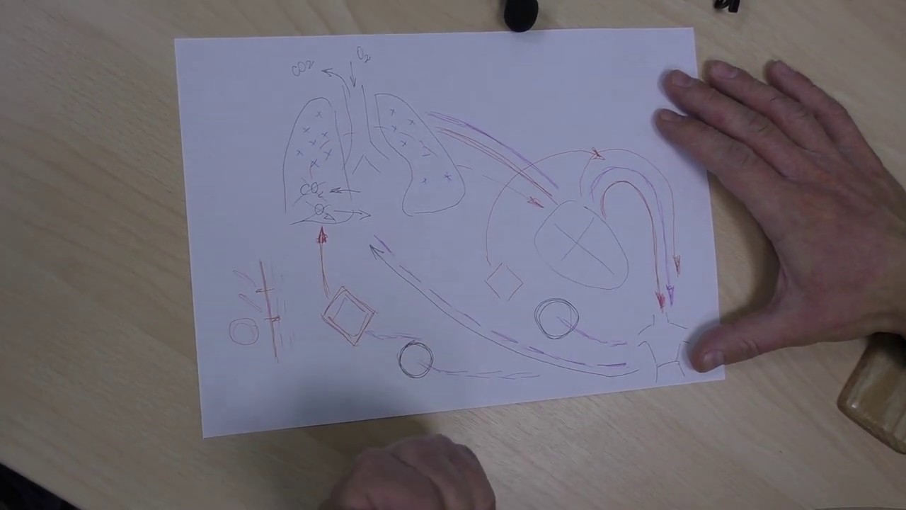 Про ЭКМО (Экстракорпоральная мембранная оксигенация)