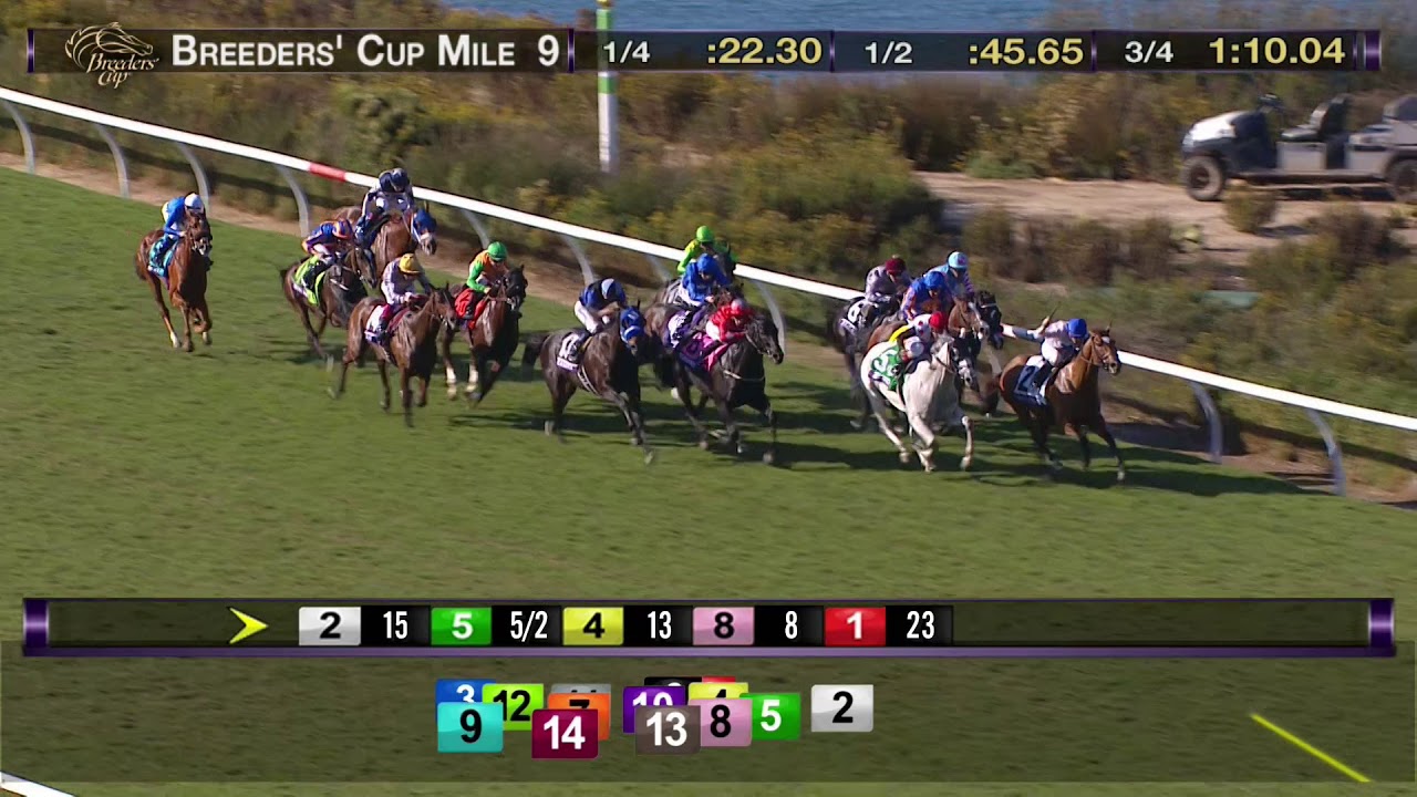 World Approval Wins Breeders' Cup Mile Grade I Race 9 at Del Mar 11/04/17