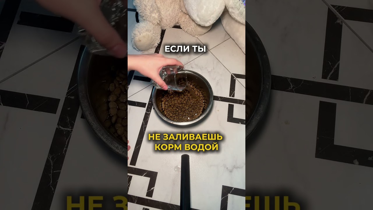 Читай ниже 👇