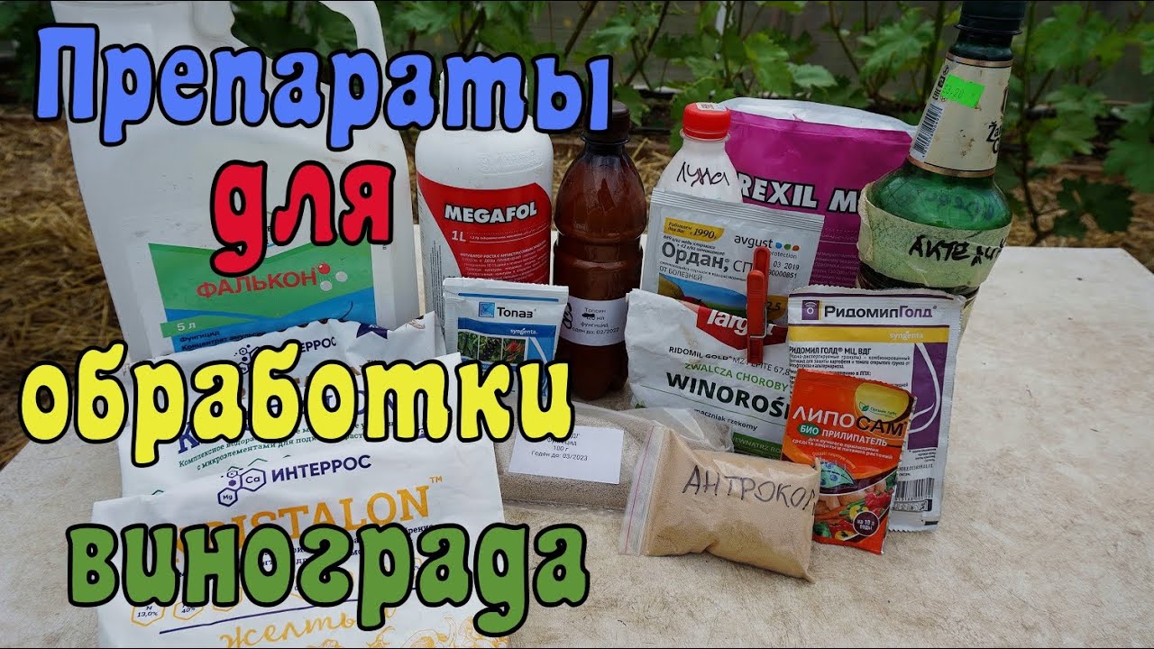 Новая схема обработки винограда на 2021г.