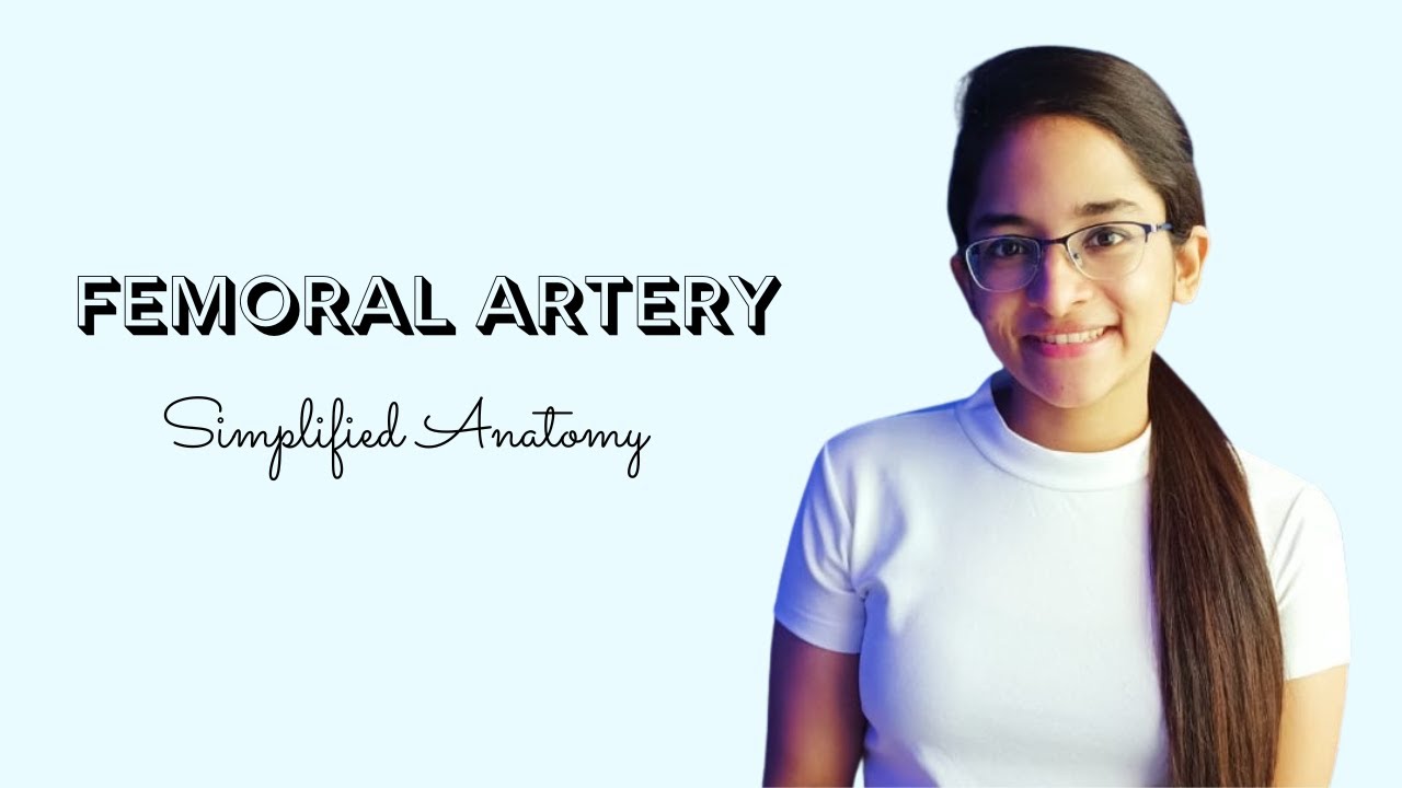 FEMORAL ARTERY | ANATOMY | SIMPLIFIED