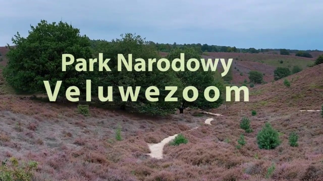 Holandia nieznana - Park Narodowy Veluwe