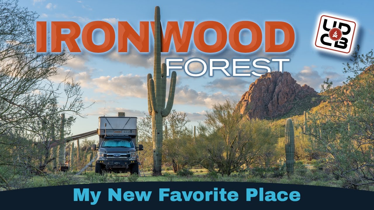 My New Favorite Place | Ironwood Forest National Monument | Arizona