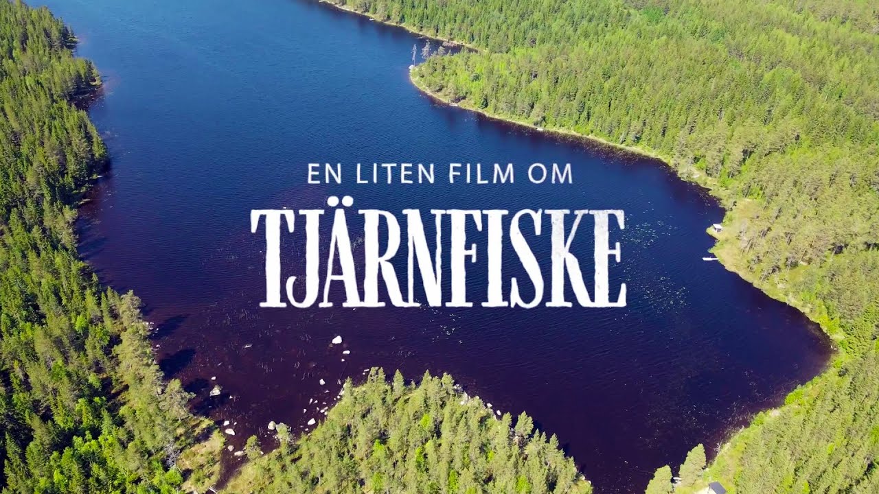En liten film om Tjärnfiske