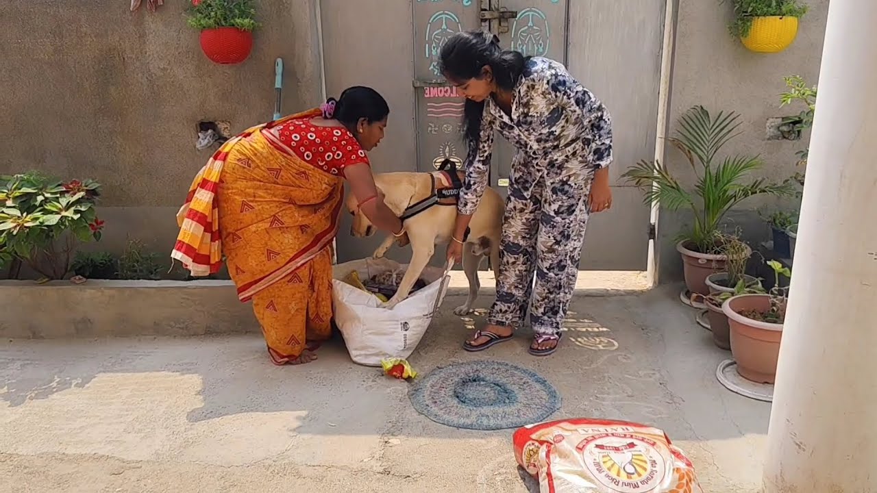 Joy ghar ka Ration andar laane mein madad || @Journeyoffjoy 