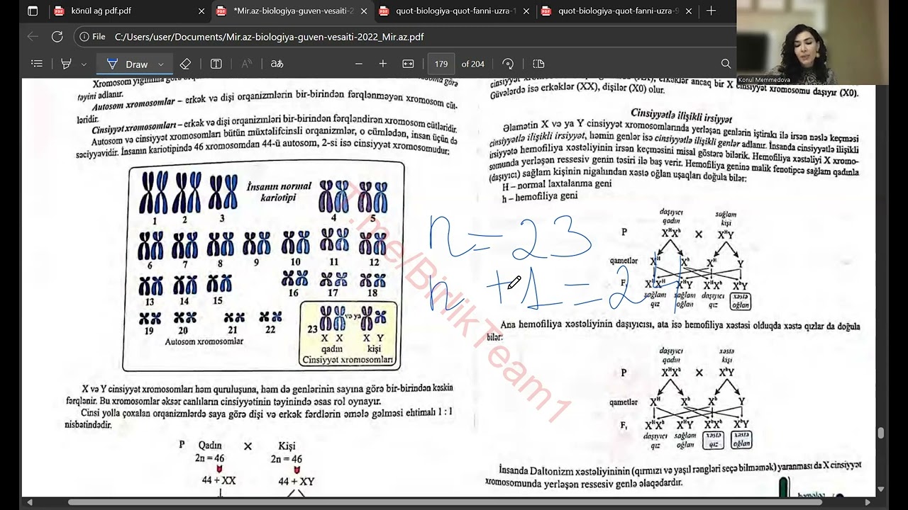 Cinsiyyətin genetikası