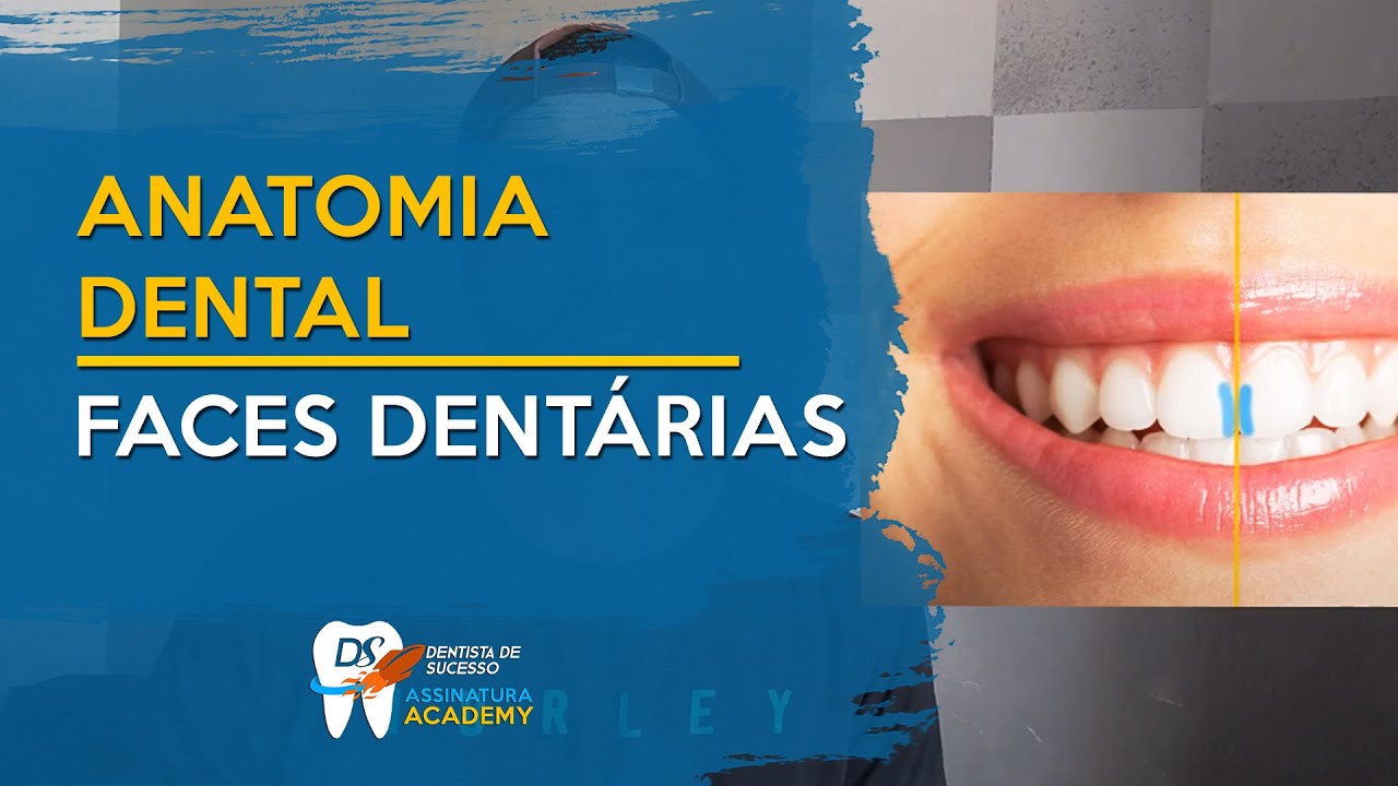 Faces dos Dentes | ANATOMIA DENTAL
