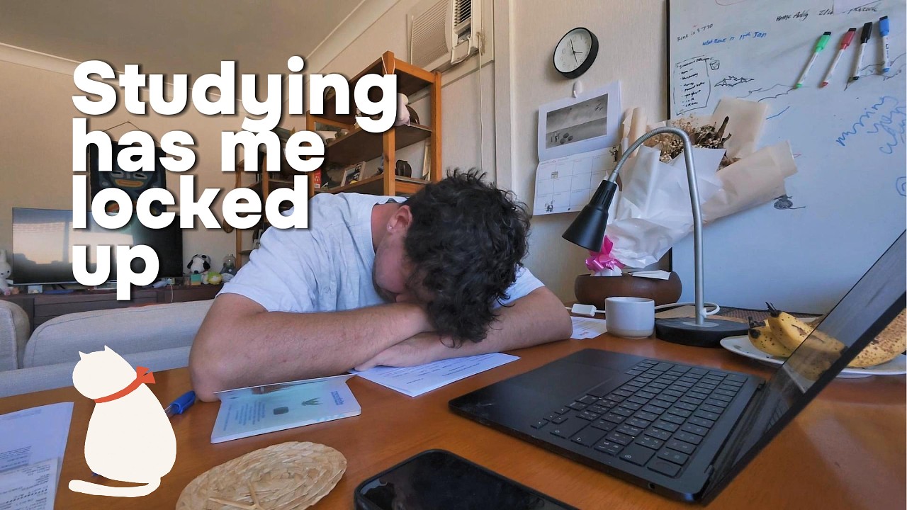 Raw study week with me | Back in Syd Jan-Feb