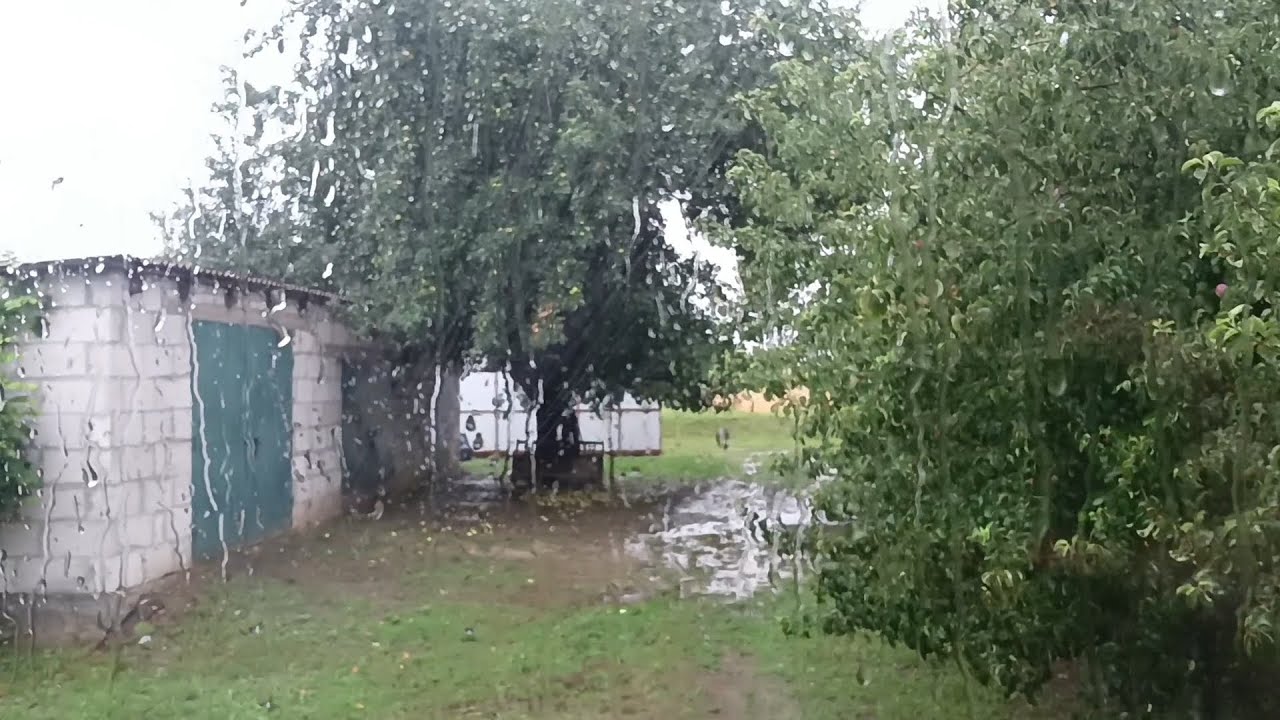Беларусь Нас ещё не смыло и не сдуло, держимся :) Что выросло в огороде