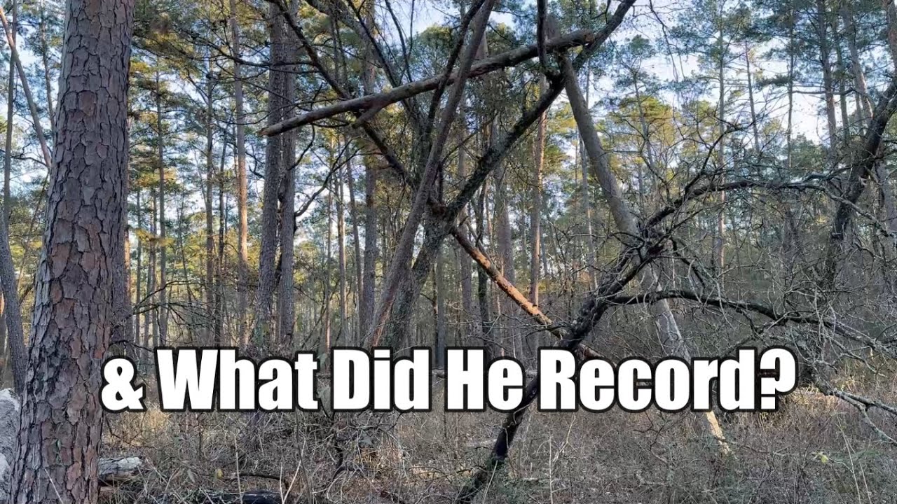 Sam Houston National Forest - East Texas Sasquatch Exploration and Audio Recordings