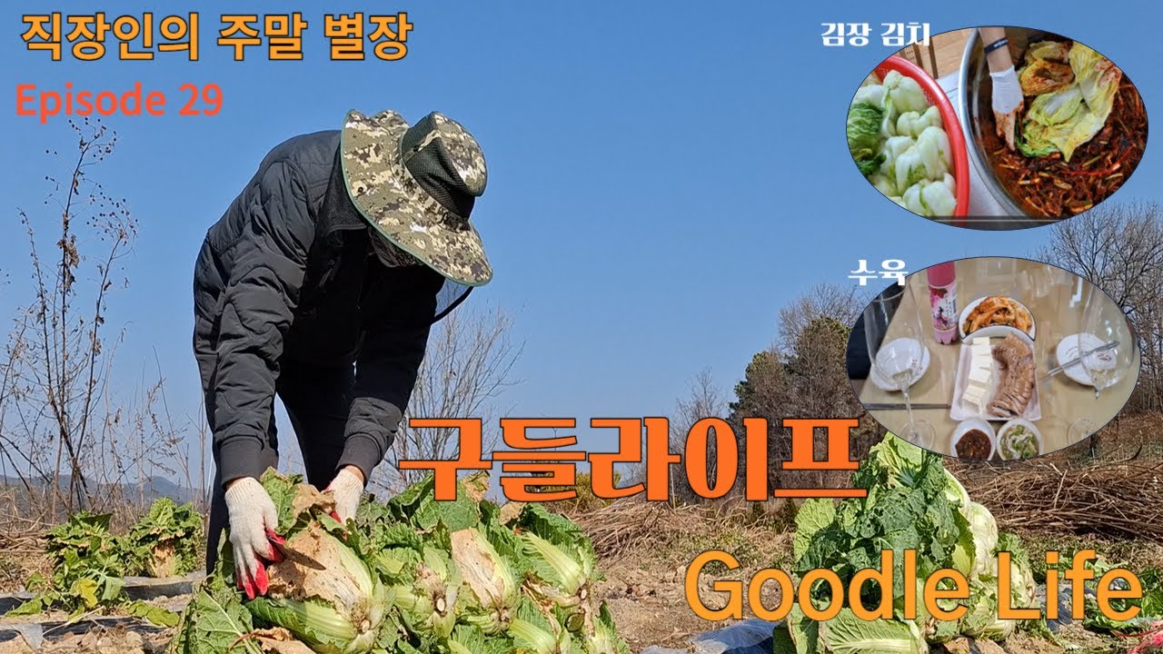 배추부터 무까지 자급자족 김장하기