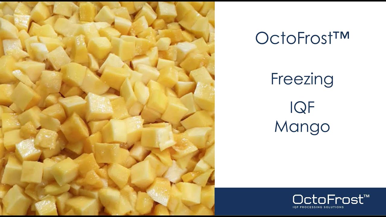 OctoFrost&trade; IQF Freezing Mango