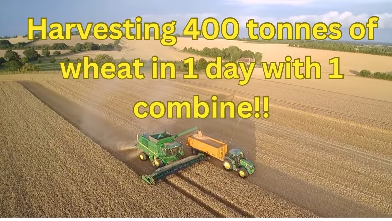 Harvest 2024! Episode #8 Harvesting 400 tonne of wheat in 1 day!