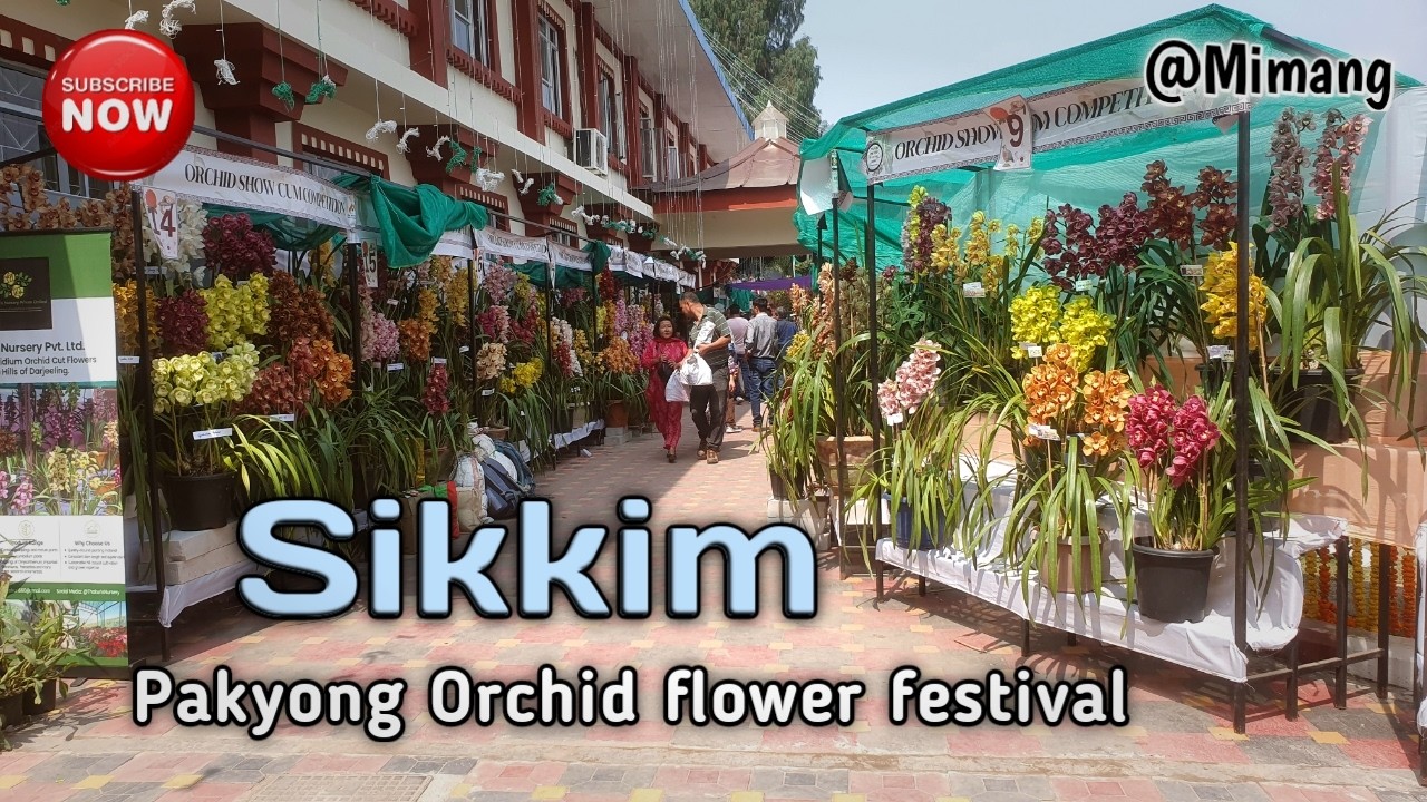Sikkim Pakyong Orchid Flower Festival / Mimang Vlog