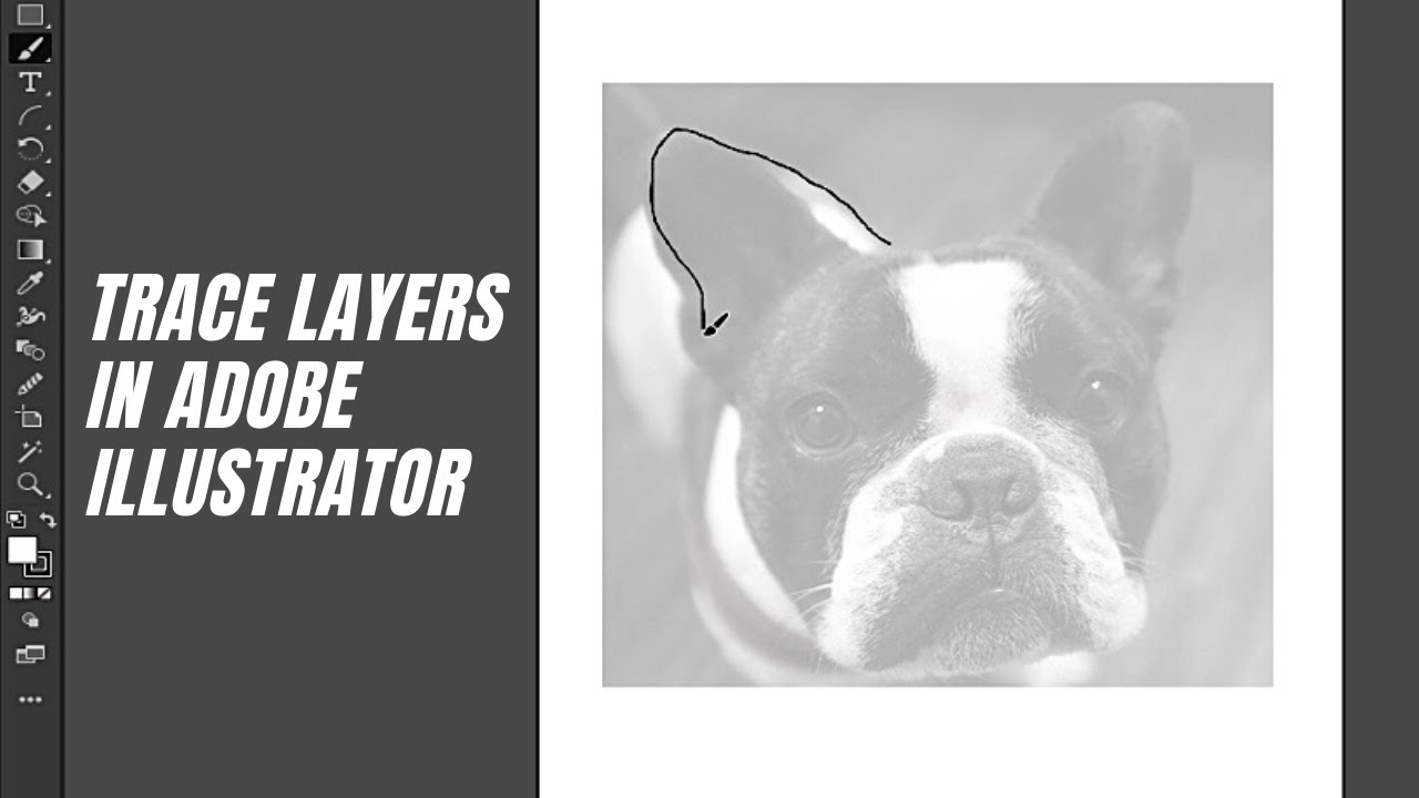 Adobe Illustrator 2021 - How to Trace Using Template Layers