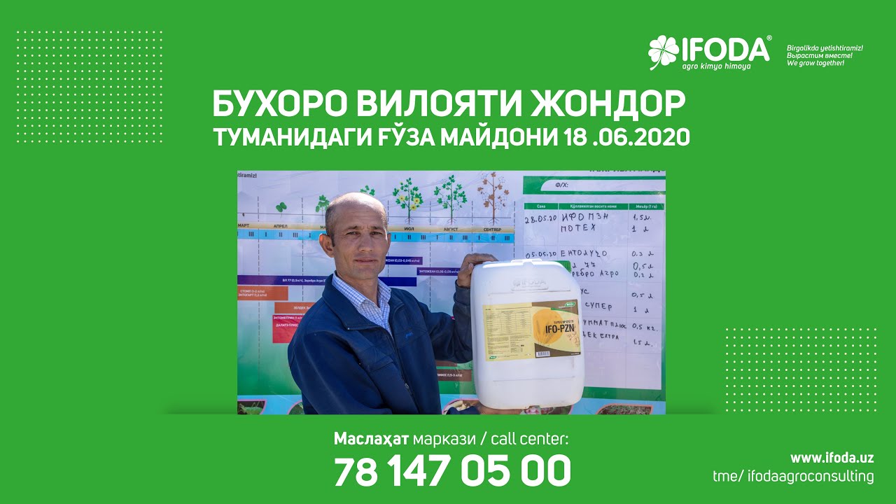 ИФОДА - СИНАЛГАН ҲАМКОР