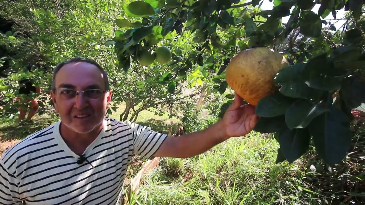 Histórias e Turismo Rural com Projeto Novo Olhar em São Roque