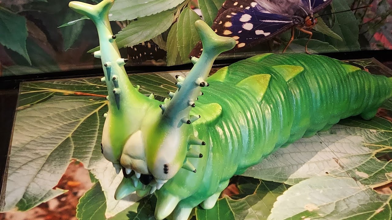 奈良昆虫博物館