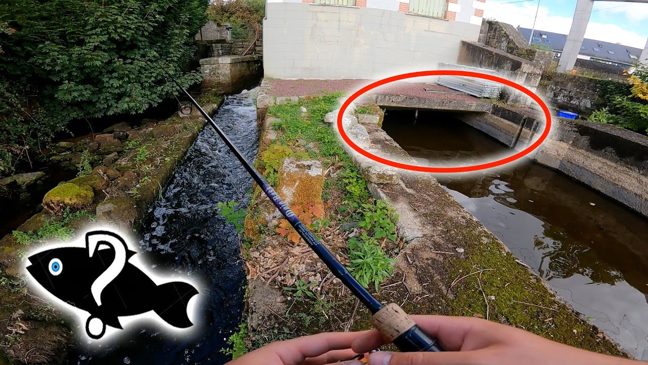 DU POISSON DANS CE TROU ??