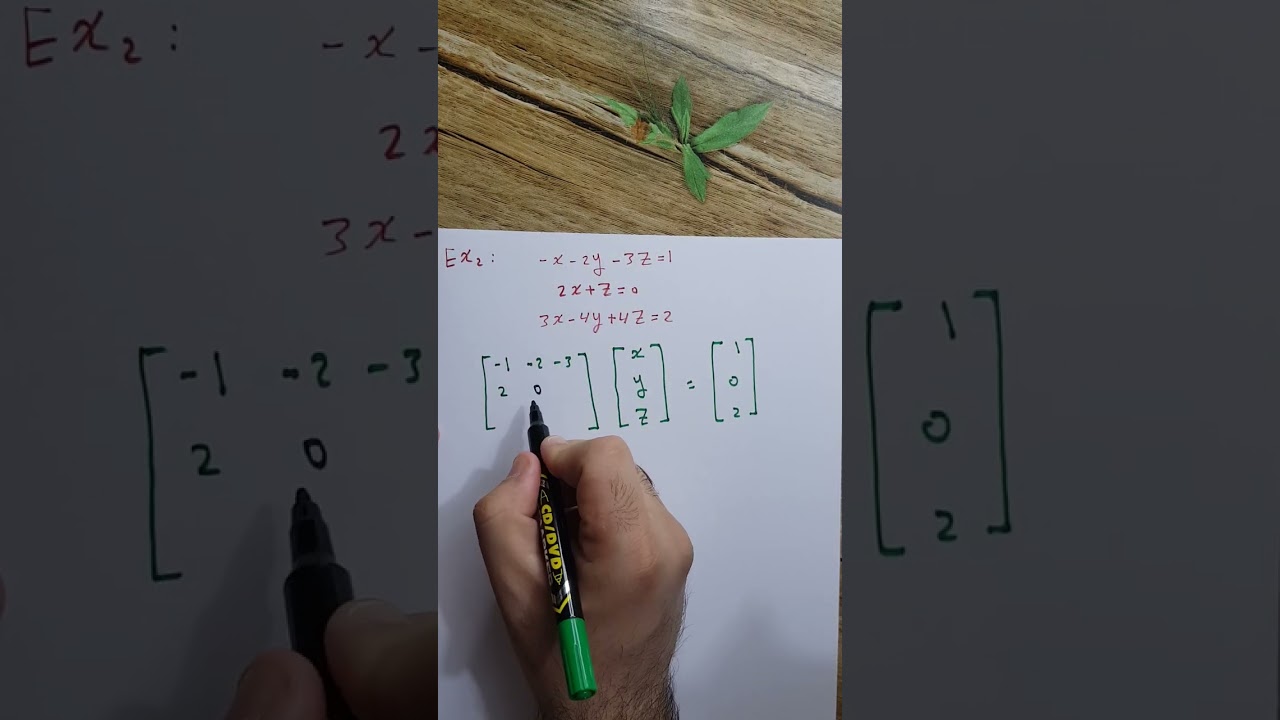 محاضرة 13 (حل النظام بطريقة كَرامر Cramer's Rule). نوار الأسدي