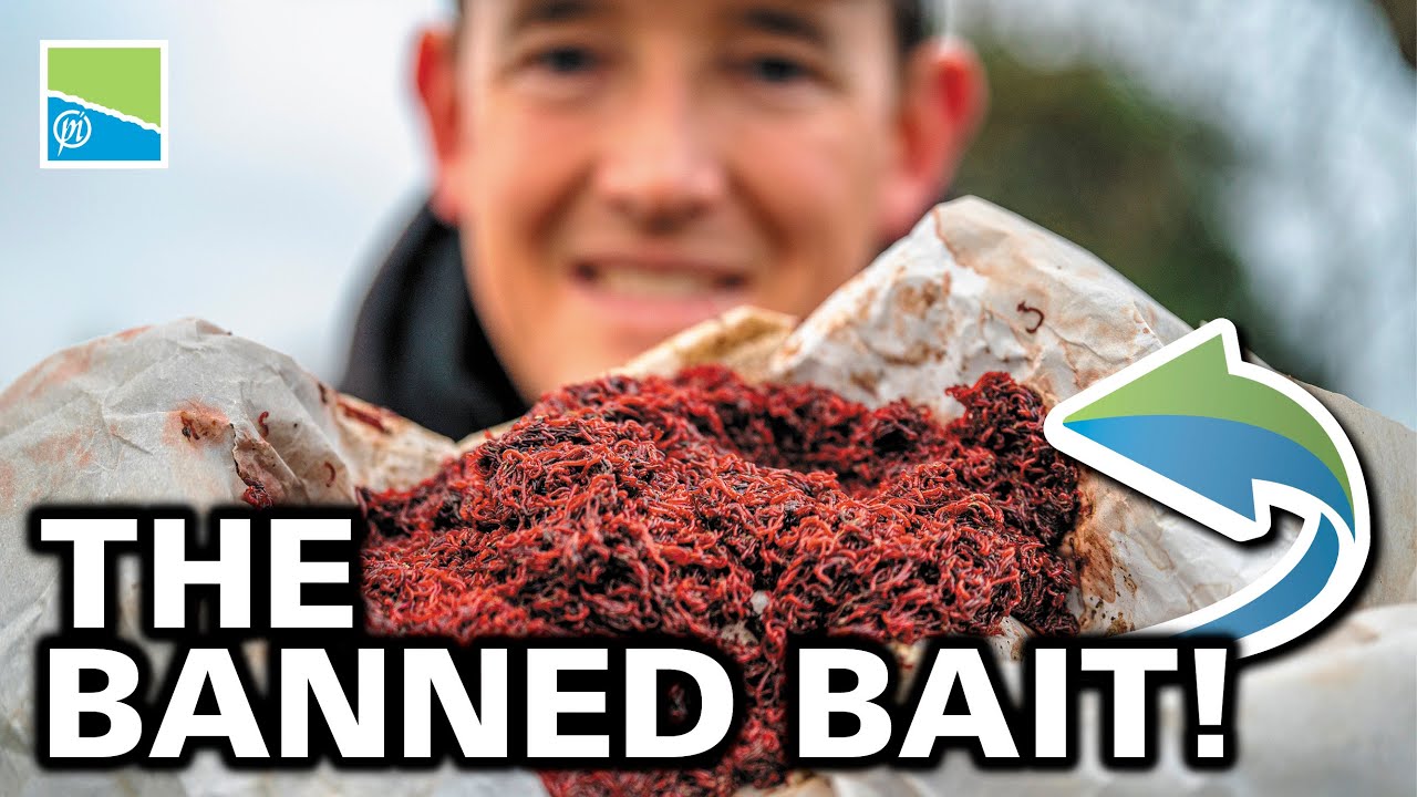 The BANNED Bait!!! - Bloodworm & Joker fishing with Lee Kerry