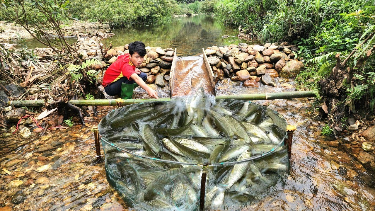 Full video of 120 days of boy Lam creating fish traps and setting them up in the stream.