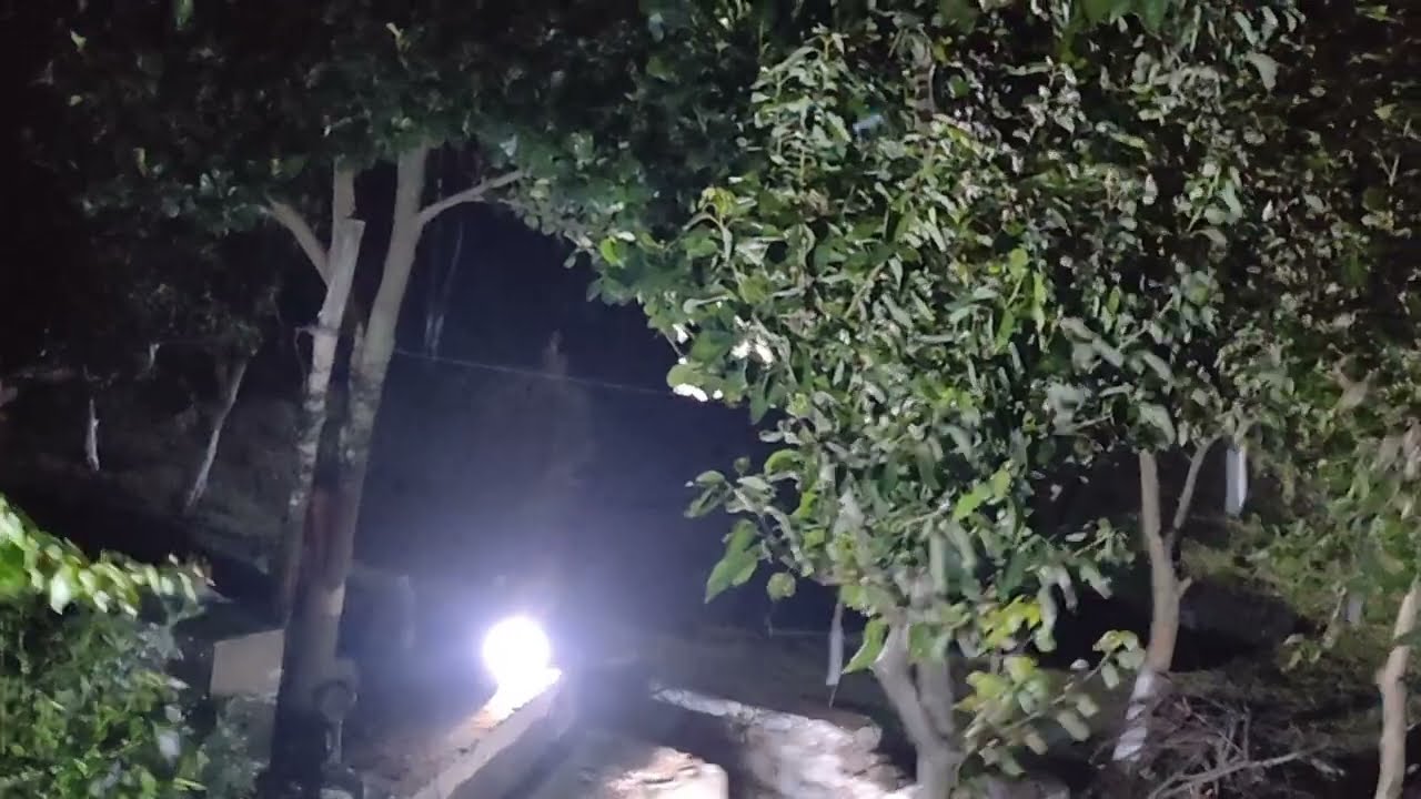 तेंदुआ आ गया रात में । तेंदुए की चमकती आंखें । Leopard And Sambar Deer Call । Rajaji National Park