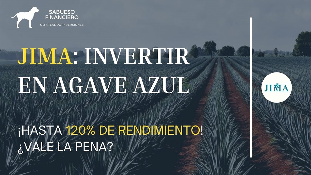 #JIMA: Invertir en #AGAVE AZUL - más de 100% de rendimiento ¿Es confiable? - SABUESO FINANCIERO