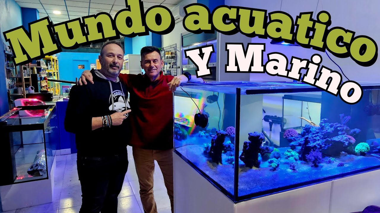 TIENDA DE ACUARIOFILIA EN ORIHUELA | MUNDO ACUATICO Y MARINO