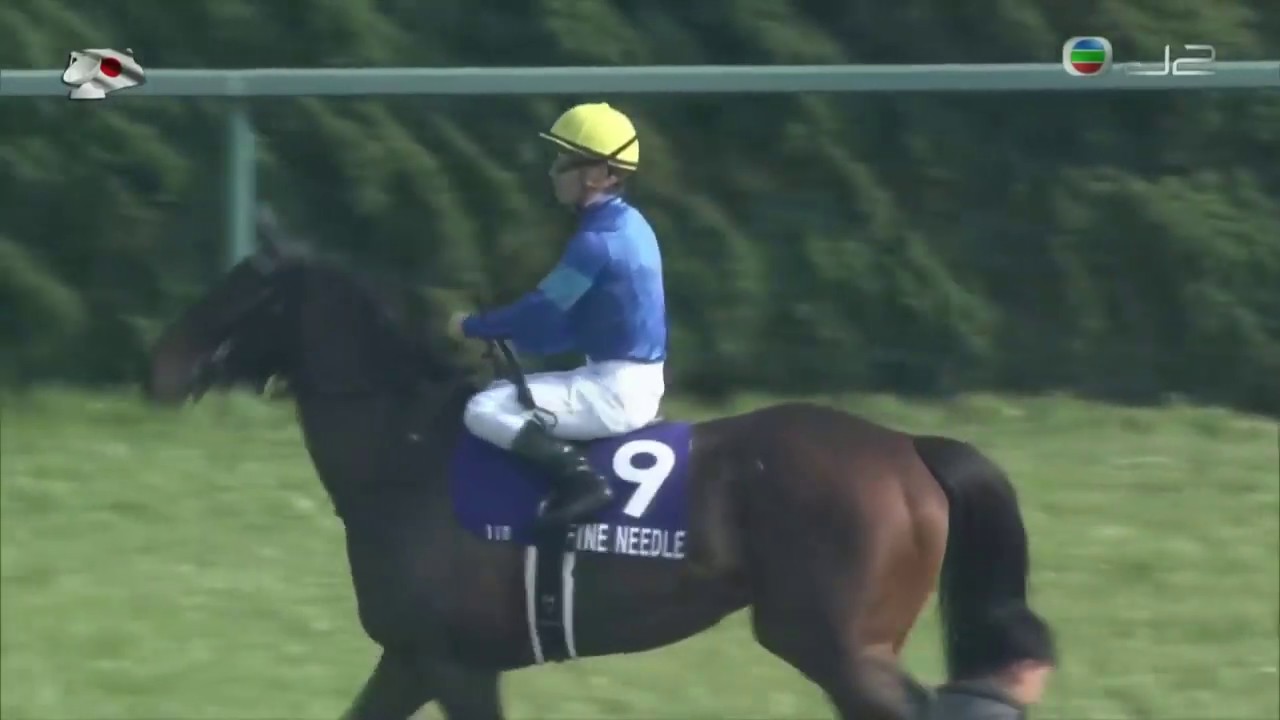 2018 Takamatsunomiya Kinen G1 - Fine Needle (鐵杵成針) - Y.Kawada (香港馬有得威直路未能加速跑回一席接近的第五)