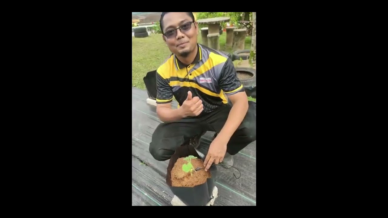 #MPCCSustAWARD23 Projek Laman Hijau Politeknik Sultan Azlan Shah Behrang