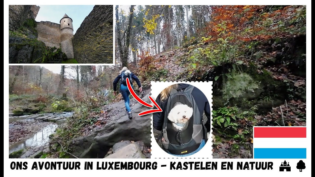 Ons Avontuur In Luxembourg - Natuur En Kastelen🏰🌳