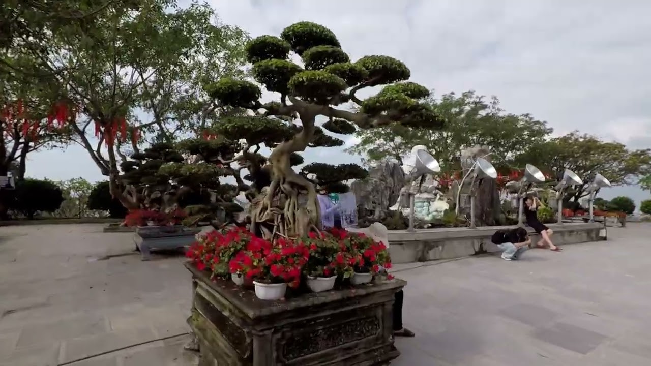The Giant Guarding Da Nang: Exploring Linh Ung Pagoda (Son Tra Peninsula)