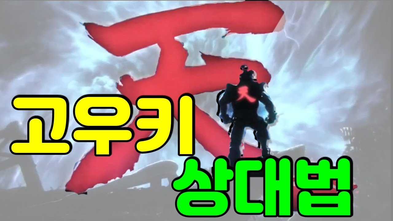 초급자용 고우키 상대법