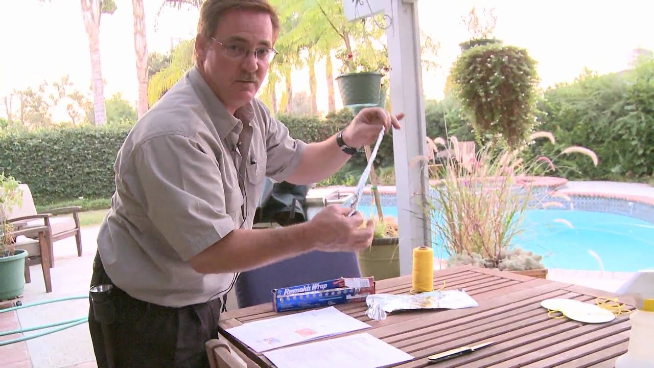 Home & Lawn Pest Control : How to Prevent Birds From Flying Into Windows