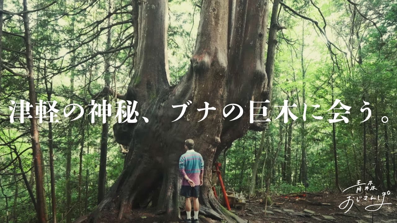 【五所川原市・十二本ヤス】強すぎるパワースポット、知る人ぞ知る御神木の神秘を感じてきました。