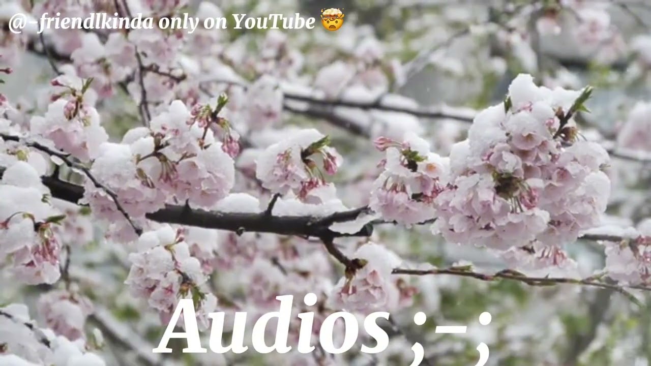 {audios} welcome welcome its my first time🥺