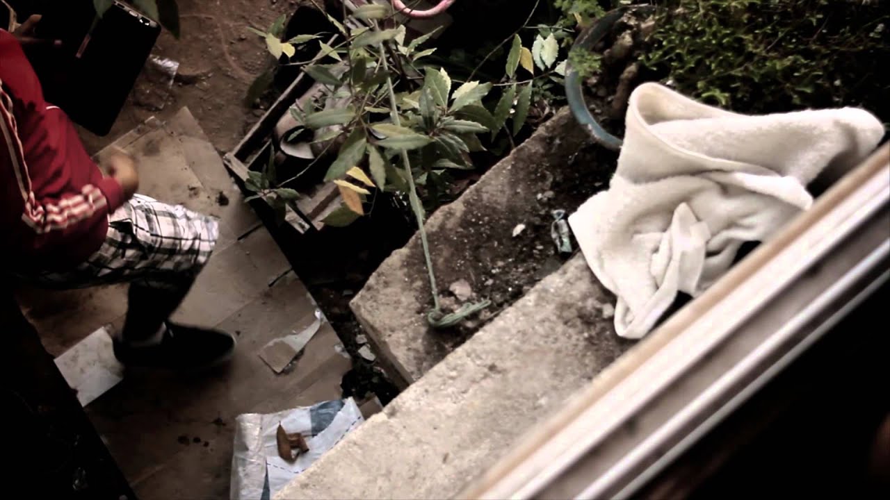 ARTE ELEGANTE FEAT RDO / VALORA LA VIDA // AVE FENIX 2013 VIDEO OFICIAL