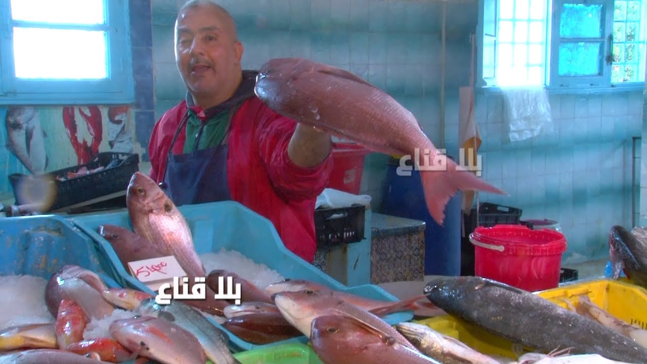 الحوت ينافس اللحوم الحمراء والبيضاء والحوات حاسد الجزار عالبروموسيون والتخفيضات الأخيرة هه للهزل فقط