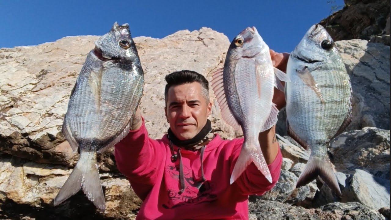 PESQUERA JORNADA AL SURFCASTING DESDE ACANTILADO EN CALAHONDA ➕ CAPTURA Y SUELTA DE PULPO 🐙