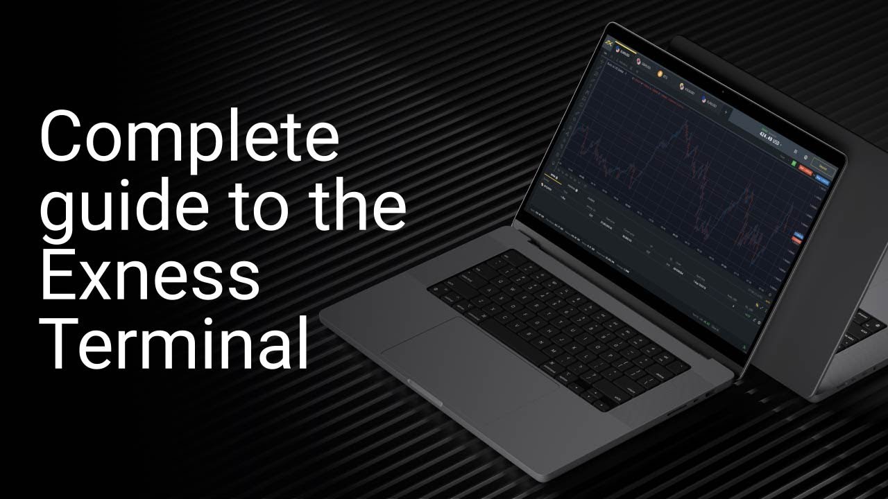 A complete guide to the Exness Terminal