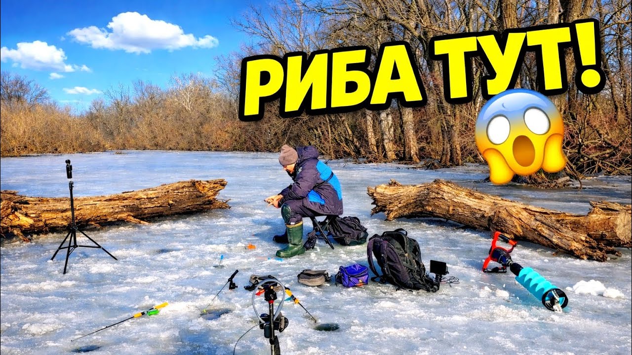 🔥 ЗНАЙШОВ РІЧКУ В ЛІСІ… А ТАМ КОРЧІ І ПОВНО РИБИ!