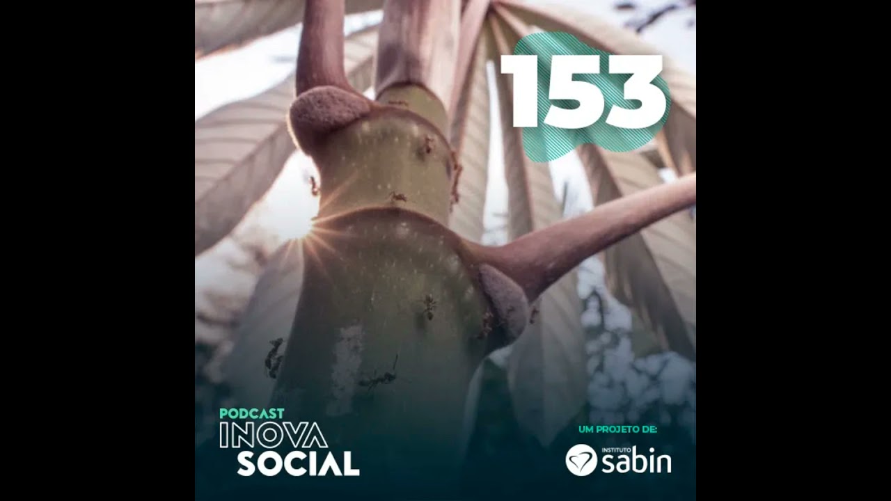 Um trabalho de formiga: As miniflorestas urbanas contra as mudanças climáticas | Podcast #153