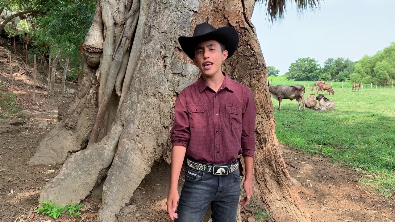 Un Gran Papa (El Gallito De Oaxaca)